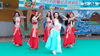 タヒチヌイ 第三回とみさとマルシェ 新木戸大銀杏公園 2019.4.27