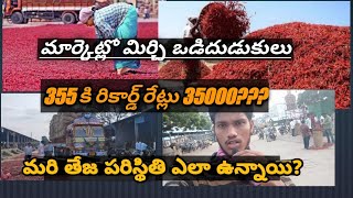 #మార్కెట్ పొజిషన్ మిర్చి ధరలు కొనుగోలు #ఆర్డర్ #ఎక్స్పోర్ట్ లు ఏ విధంగా ఉన్నాయి? Exclusive report