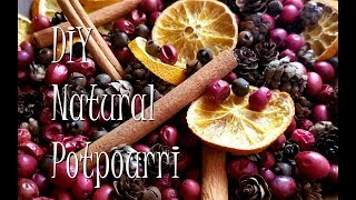 DIY ~ Make Your Own Holiday Potpourri