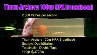 Thorn Archery 100gr HPX Crossbow Broadhead 1st Look Outdoors Accuracy and High Speed Video Ballistic