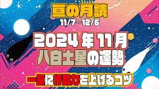 11/7〜12/6の八白土星『成果を喜んだ後が大事』2024年11月の運勢【亘の月読】