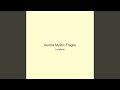 Aurora Mystic Fragile