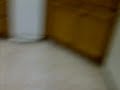 vid 20120110 00010