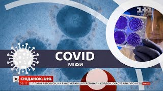 Як коронавірус реагує на потепління – міфи про COVID-19