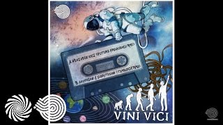 Vini Vici - Anything & Everything (Timelock Remix)