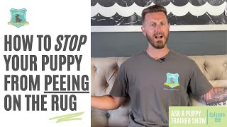 How To Stop Your Puppy From Peeing On The Rug | AAPTS Ep. 156