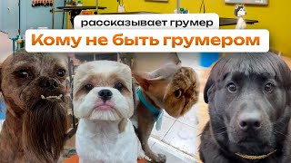 Кто не сможет стать грумером 🐕 Профессия грумер, какие навыки необходимы? Советы грумера