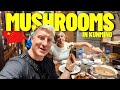 Eating POISONOUS Mushrooms in KUNMING, China 🇨🇳