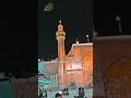 Allama Shahenshah Hussain Naqvi | Moharram | Bas Ya Ali #shorts #bas_ya_ali #wilayat #story #status