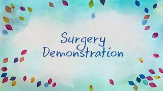 Surgery Demonstration