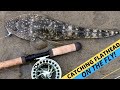 HOW-TO: Catch Flathead On Flies With A Sinking Fly Line