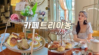 VLOG | 청담카페 트리아농 가봤습니다! 🧁☕️ 애프터눈티 카페