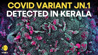 Covid variant JN.1: COVID variant JN.1 cases detected in India, Centre issues advisory to states