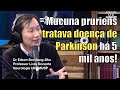 A medicina INDIANA descreveu o primeiro TRATAMENTO para o PARKINSON com a MUCUNA PRURIENS