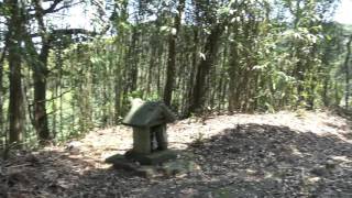 佐世神社　ここだと思たったが、、実は違った(;'∀')