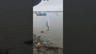 Amazing bottle fishing in Marve beach traditional technique for mullet fishing in Marve aksha beach