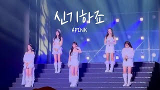 241222 에이핑크_신기하죠 세로 직캠 | PINK CHRISTMAS