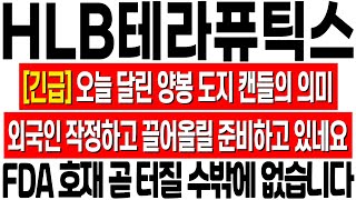 [HLB테라퓨틱스 주가 전망] 양봉 도지 캔들의 의미! 외국인은 작정했네요! FDA 호재 조만간 터집니다! hlb테라퓨틱스 주식 분석! hlb테라퓨틱스 주식 목표가