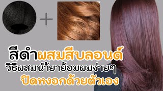 ทำสีผม​ด้วยตัวเอง​ สีดำ​และบลอนด์​สว่าง​ สูตรปิดหงอก ในขั้นตอนเดียว​ EP.113 |Starbeautybrighton