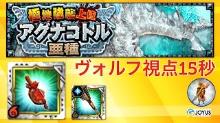 ヴォルフ視点15秒【極地強襲上位アグナコトル亜種】【MHXR】