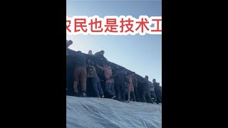 #返乡创业新农人 #抖音记录农村生活 #支持农业发展