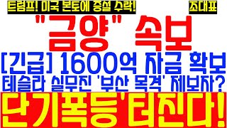 [#금양] 1600억 자금 확보! 미국 본토에 기장공장 추가증설 검토! 하락 끝! 단기급등,단기폭등 확정적! 빨리사라! 미친듯이 장대양봉 터진다! 집 팔고, 땅 팔고 금양에 올인!