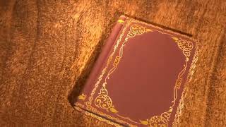 Animated Book Opening Green Screen | Effect | Green Screen | No copyright