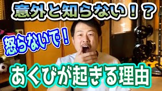 【からだ】あくびは〇〇だから起きる！意外な理由で起こるあくびを徹底解剖！！