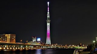 東京スカイツリー　ライトアップ　桜　『舞』　美しい桜の花びらが舞う　隅田川　TOKYO SKYTREE Light up Sakura 2021　3.01