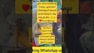 ഈ ബന്ധത്തിന്റെ സത്യം എന്താണ് നിങ്ങളോട് അവർ കാണിക്കുന്ന ആ ഒരു ഇഷ്ടം 🤐🤐♥️#currentfeelings #astrology