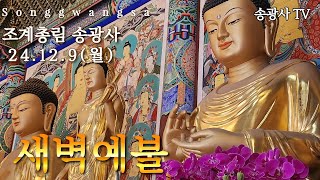 송광사 새벽예불 24.12.9