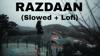 Razdaan Title song (Slowed and Lofi) - Badnaam  | Soham Naik
