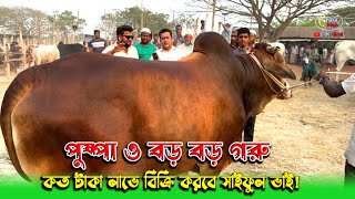 সাইফুল ভাই কত টাকা লাভে গরু বিক্রি করে জানতে পারবেন এই ভিডিওতে! হযরতপুর গরুর হাট ২০২৫