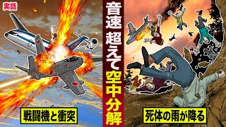 【実話】音速を超え...空中分解した旅客機。死体の雨が降った日本最悪の衝突事故。