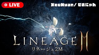 【リネージュ2M】2024.2.11 アップデート内容確認！信念の塔、覚醒「ケイナフェル」到来👾【天堂2M】【리니지2M】