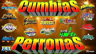 ⚡LAS MEJORES CUMBIAS PERRONAS 2025 MIX🎉GRUPO LA NUEVA ORQUESTA SONIDERA,JU-JUY,QUINTANNA,TEPOZ Y MÁS