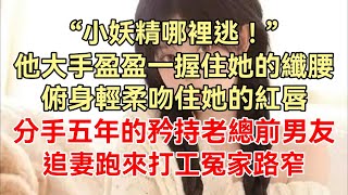 （完整版）「小妖精哪裡逃！」他大手盈盈一握住她的纖腰，俯身輕柔吻住她的紅唇，分手五年的矜持老總前男友，追妻跑來打工冤家路窄