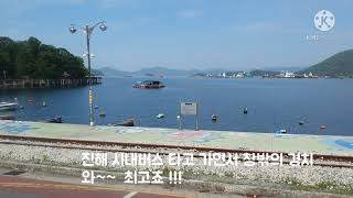 진해 시내버스 타고 퇴근  I take a city bus from Jinhae-gu, Changwon-si to get off work.