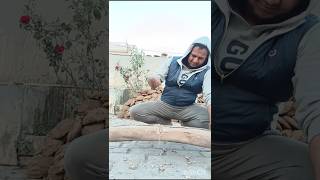 गांव वालो की जिंदगी #kisan #खेती  #shortvideoviral