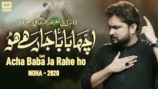 Nohay 2020 | Acha Baba Ja Rahe Ho | Syed Raza Abbas Zaidi Nohay 2020 | Shahzad  Ali Asghar Noha 2020