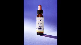 Water Violet Bach flower remedy for feeling isolated and unable to reach out.  Loneliness