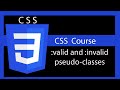CSS Style form elements ( valid and invalid pseudo classes )