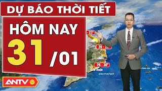 Dự báo thời tiết hôm nay ngày 31/1 (Mùng 3 Tết): Bắc Bộ trời rét, Trung Bộ nắng hanh | ANTV