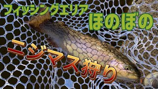 ほのぼのと釣るニジマス