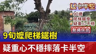 9旬嬤爬梯鋸樹 疑重心不穩摔落卡半空