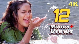 Dil Hai Chhota Sa 4K Video Song Hindi | Roja (1992) | AR Rahman Superhit Song | Madhoo