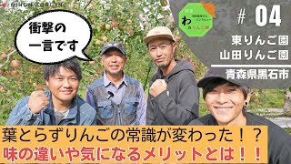 【契約農家さんに聞く！】葉とらずりんごの常識が変わる！？葉を取らないメリットは〇〇！？【わのりんご畑】