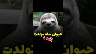 حیوان ماه تولدت چیه؟ #تولد