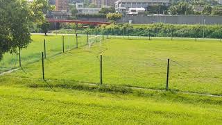 《足球/Futbol》台北市的這個足球場地好像比較少人知道 #futbol #footballfield #taipei #soccer #soccerfield #free #足球場 #天然草