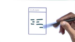 All about layouts